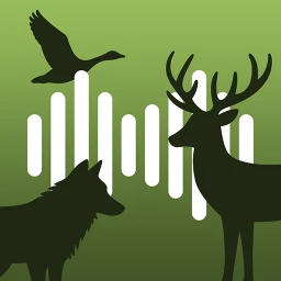 Icône de Hunting Calls: All-in-One